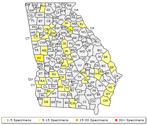The range of Prunus umbellata